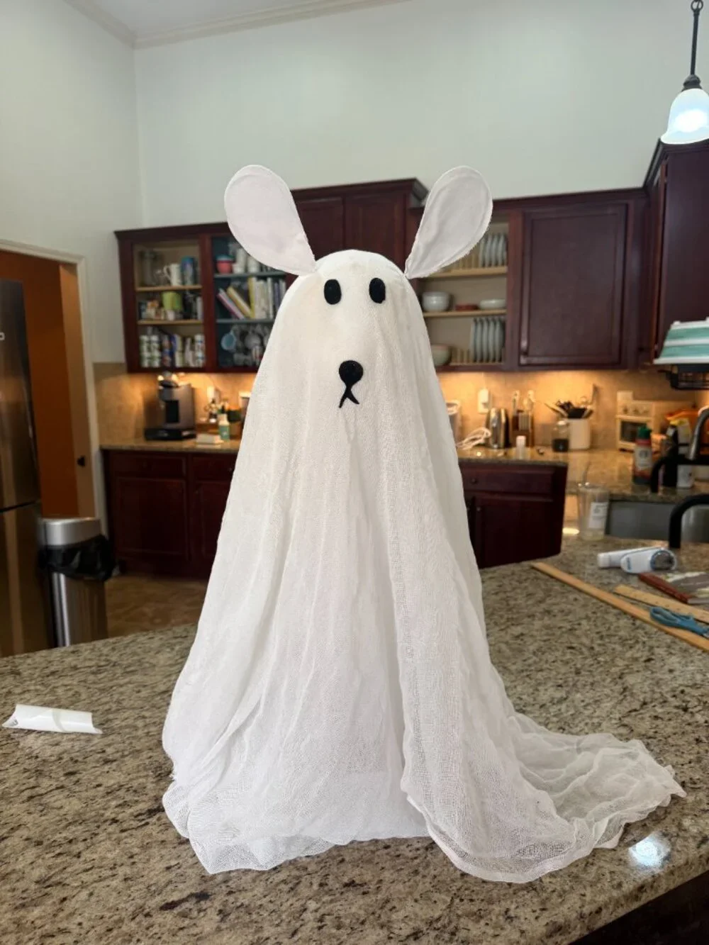 Pottery Barn Lit Ghost Dog